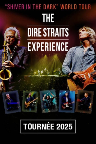 THE DIRE STRAITS EXPERIENCE